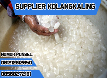 081212812650 Jual Distributor Grosir Agen Produksi Kolang Kaling Kualitas Super Standar Harga Murah Terpercaya